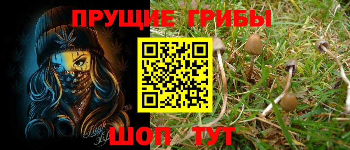 Галлюциногенные грибы Magic Shrooms  Галлюциногенные грибы ЛСД  Буйнакск  купить наркотики цена  Вход с VPN 